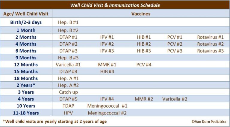 well-child-visit-immunization-schedule-pediatrician-alexandria-van